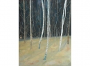 'Birchwood 1', oil, 62 x 77cm