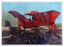 'Sugar Beet Harvester', woodcut