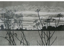 'Field', woodcut, 57 x 46 cm